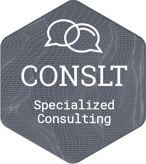 Specialized Consulting Services Icon